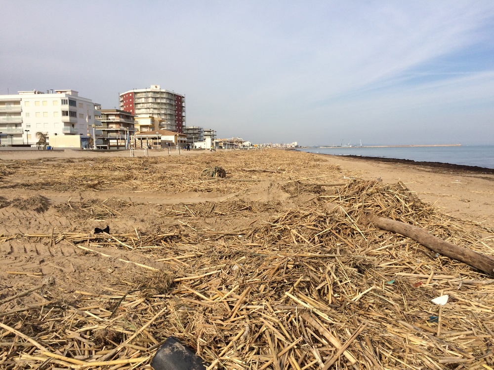 Miramar y Daimús evalúan los daños del temporal en sus playas