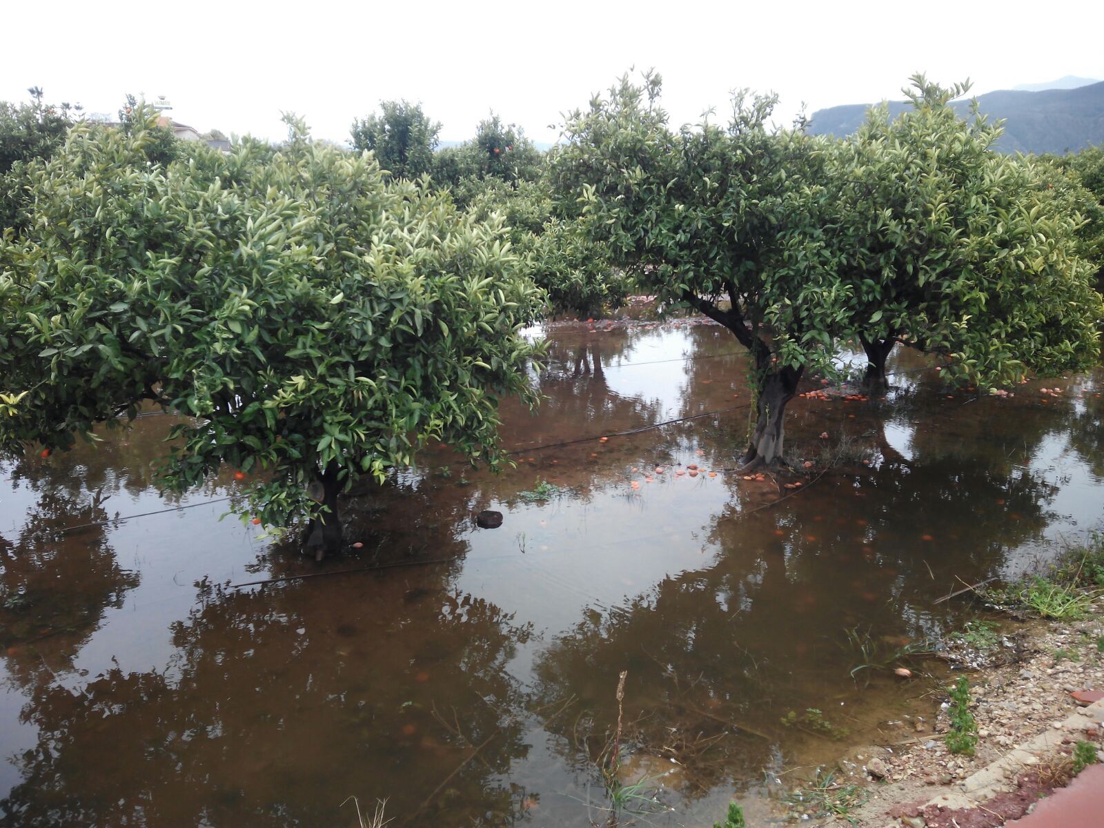 Las lluvias causan 300.000 euros en daños en 3 municipios de la Safor