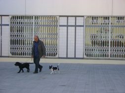 perros