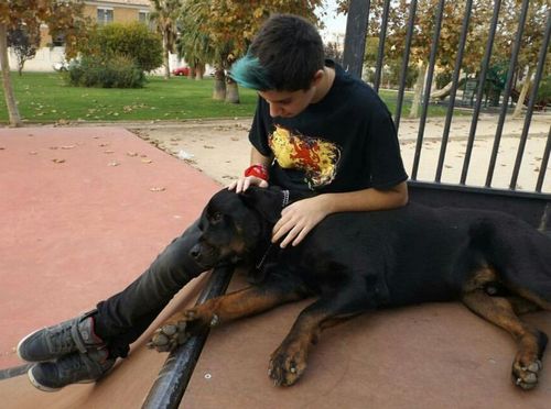 Un menor de Piles consigue el cambio de nombre y género en el Registro Civil