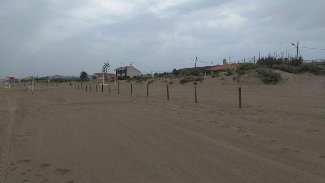 Costas acota el cordón dunar de la Safor para protegerlo