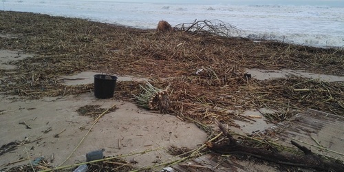 Los temporales dejan más de 440 toneladas de residuos en las playas de la Safor